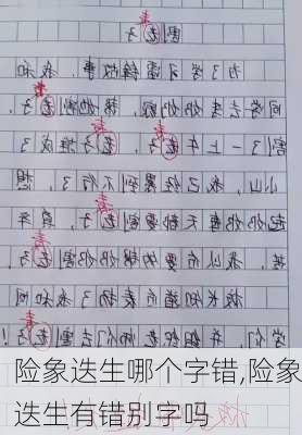 险象迭生哪个字错,险象迭生有错别字吗