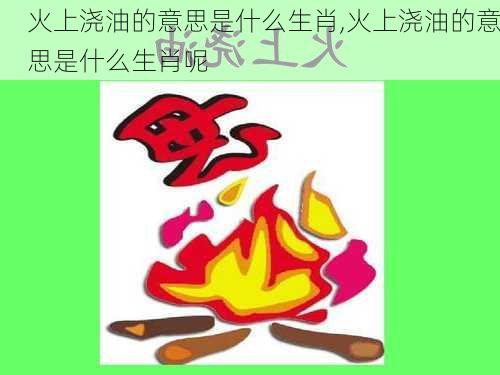 火上浇油的意思是什么生肖,火上浇油的意思是什么生肖呢