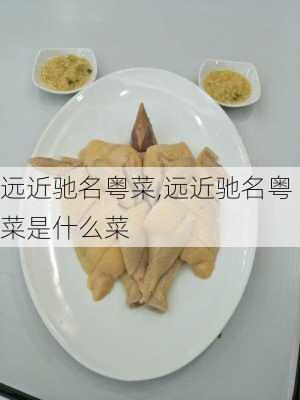 远近驰名粤菜,远近驰名粤菜是什么菜