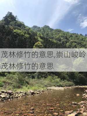 茂林修竹的意思,崇山峻岭茂林修竹的意思