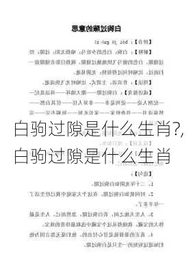 白驹过隙是什么生肖?,白驹过隙是什么生肖