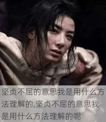 坚贞不屈的意思我是用什么方法理解的,坚贞不屈的意思我是用什么方法理解的呢