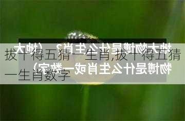 拔十得五猜一生肖,拔十得五猜一生肖数字