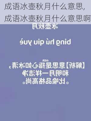 成语冰壶秋月什么意思,成语冰壶秋月什么意思啊