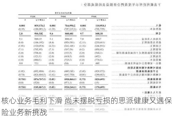 核心业务毛利下滑 尚未摆脱亏损的思派健康又遇保险业务新挑战