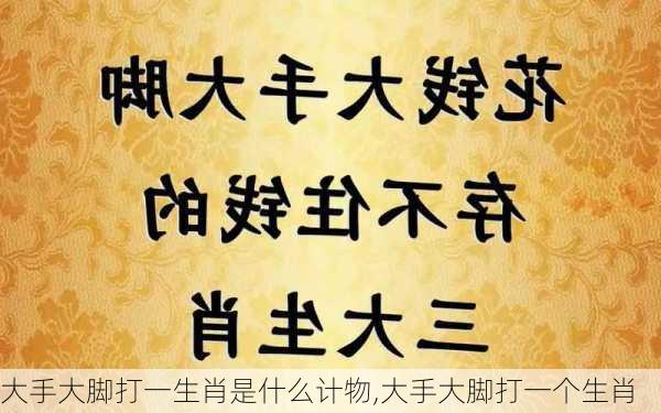 大手大脚打一生肖是什么计物,大手大脚打一个生肖