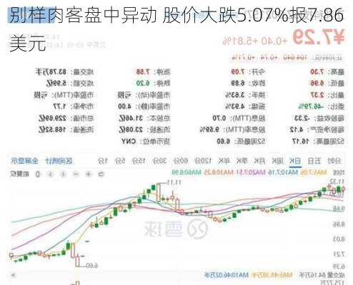 别样肉客盘中异动 股价大跌5.07%报7.86美元