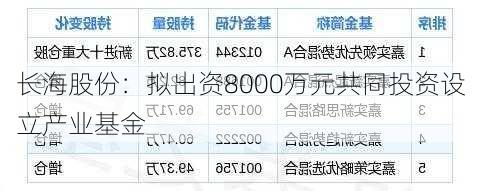 长海股份：拟出资8000万元共同投资设立产业基金