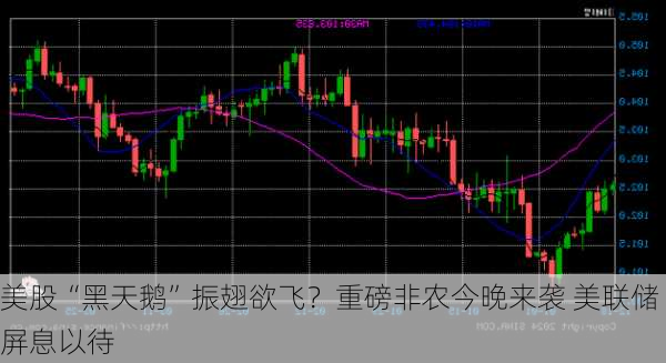 美股“黑天鹅”振翅欲飞？重磅非农今晚来袭 美联储屏息以待