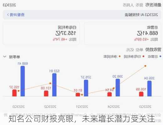 知名公司财报亮眼，未来增长潜力受关注