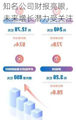 知名公司财报亮眼，未来增长潜力受关注