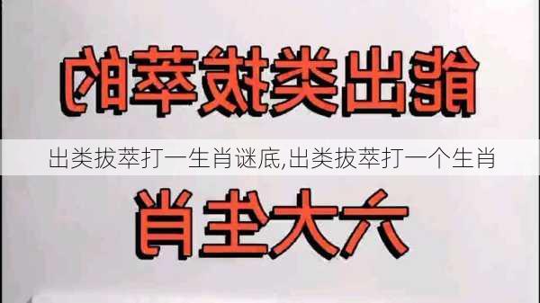 出类拔萃打一生肖谜底,出类拔萃打一个生肖