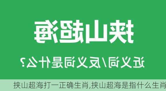 挟山超海打一正确生肖,挟山超海是指什么生肖