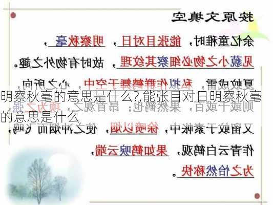 明察秋毫的意思是什么?,能张目对日明察秋毫的意思是什么