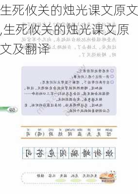 生死攸关的烛光课文原文,生死攸关的烛光课文原文及翻译