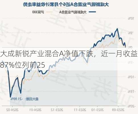 大成新锐产业混合A净值下跌，近一月收益7.87%位列前25