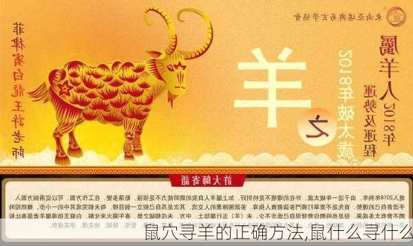 鼠穴寻羊的正确方法,鼠什么寻什么