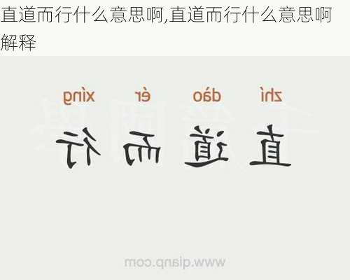 直道而行什么意思啊,直道而行什么意思啊解释