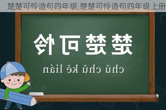 楚楚可怜造句四年级,楚楚可怜造句四年级上册