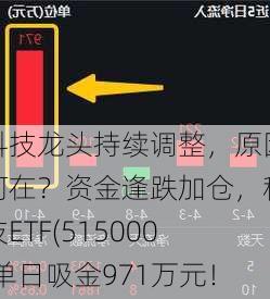 科技龙头持续调整，原因何在？资金逢跌加仓，科技ETF(515000)单日吸金971万元！