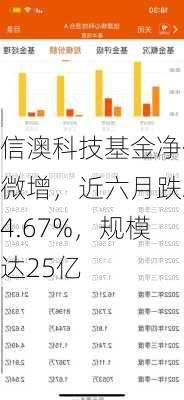 信澳科技基金净值微增，近六月跌24.67%，规模达25亿