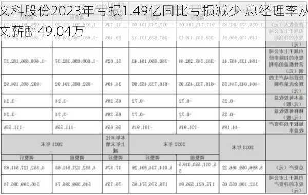 文科股份2023年亏损1.49亿同比亏损减少 总经理李从文薪酬49.04万