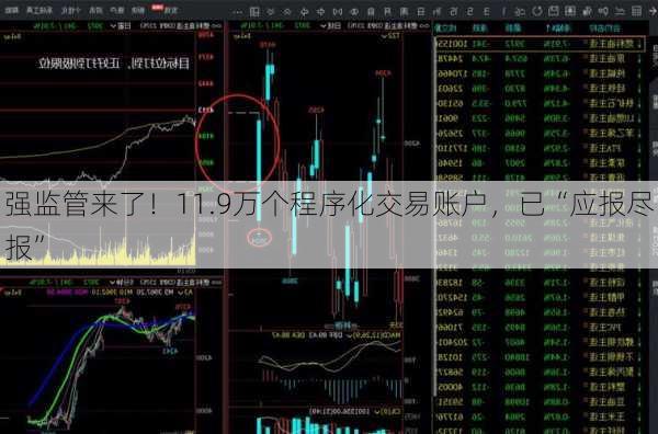 强监管来了！11.9万个程序化交易账户，已“应报尽报”