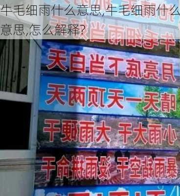 牛毛细雨什么意思,牛毛细雨什么意思,怎么解释?