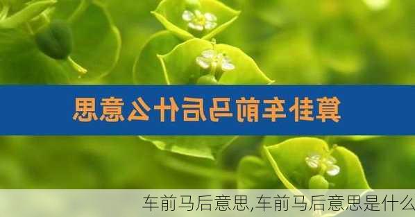 车前马后意思,车前马后意思是什么