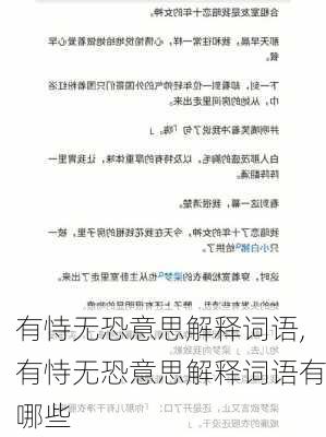 有恃无恐意思解释词语,有恃无恐意思解释词语有哪些