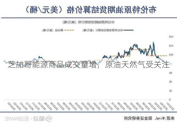 芝加哥能源商品成交量增，原油天然气受关注