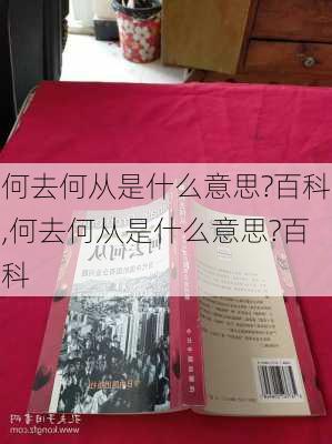 何去何从是什么意思?百科,何去何从是什么意思?百科