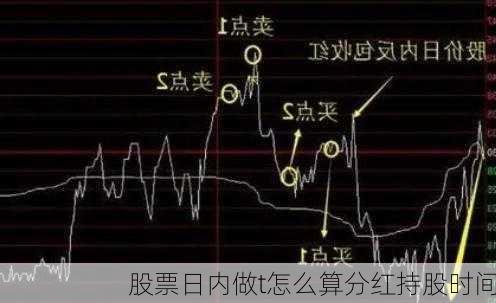 股票日内做t怎么算分红持股时间