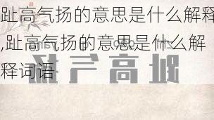 趾高气扬的意思是什么解释,趾高气扬的意思是什么解释词语