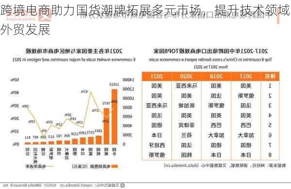 跨境电商助力国货潮牌拓展多元市场，提升技术领域外贸发展