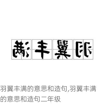 羽翼丰满的意思和造句,羽翼丰满的意思和造句二年级