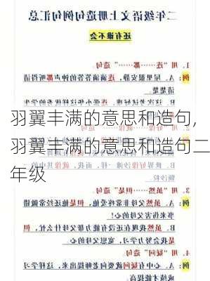 羽翼丰满的意思和造句,羽翼丰满的意思和造句二年级