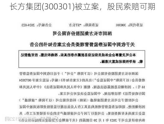 长方集团(300301)被立案，股民索赔可期