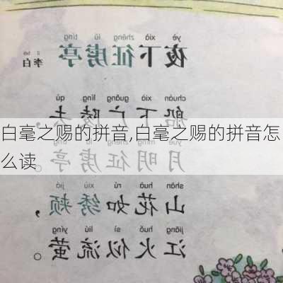 白毫之赐的拼音,白毫之赐的拼音怎么读