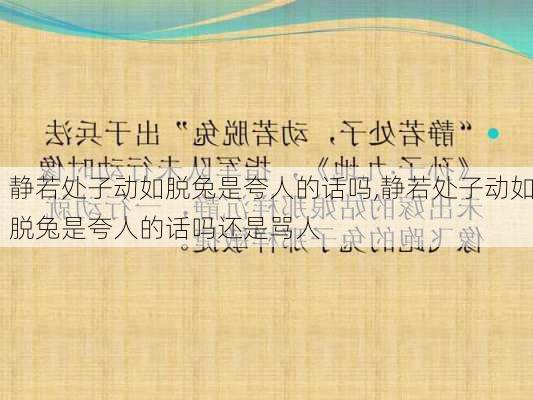 静若处子动如脱兔是夸人的话吗,静若处子动如脱兔是夸人的话吗还是骂人