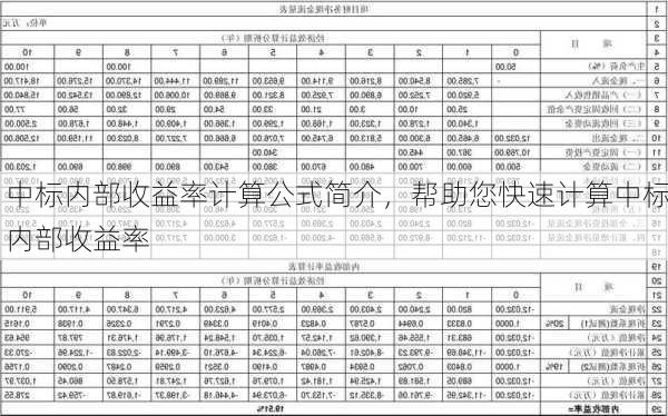 中标内部收益率计算公式简介，帮助您快速计算中标内部收益率