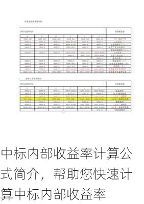 中标内部收益率计算公式简介，帮助您快速计算中标内部收益率