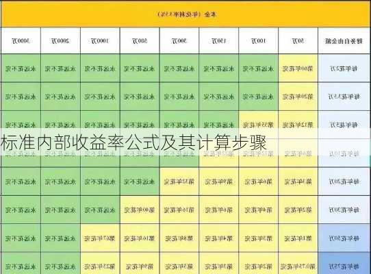 标准内部收益率公式及其计算步骤