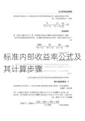 标准内部收益率公式及其计算步骤