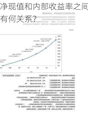 净现值和内部收益率之间有何关系？