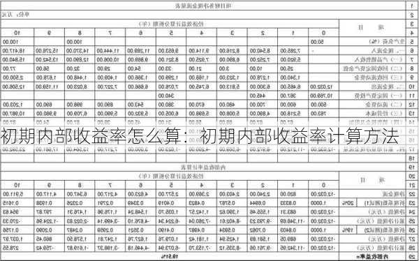 初期内部收益率怎么算：初期内部收益率计算方法