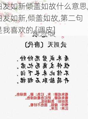 白发如新倾盖如故什么意思,白发如新,倾盖如故,第二句是我喜欢的,[调皮]