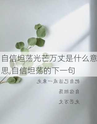 自信坦荡光芒万丈是什么意思,自信坦荡的下一句