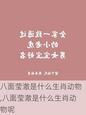 八面莹澈是什么生肖动物,八面莹澈是什么生肖动物呢