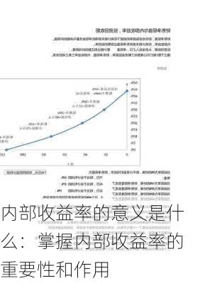 内部收益率的意义是什么：掌握内部收益率的重要性和作用